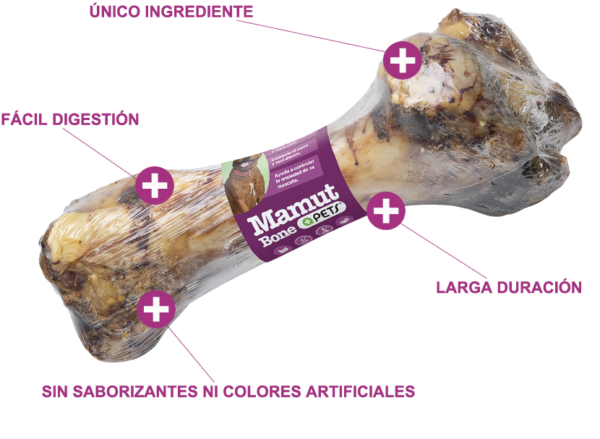 MAMUT BONE