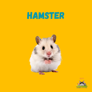 Hamster