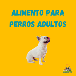 Alimento Perros Adultos