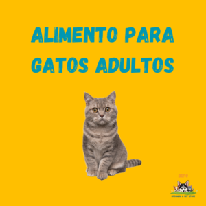 Alimento Gatos Adultos