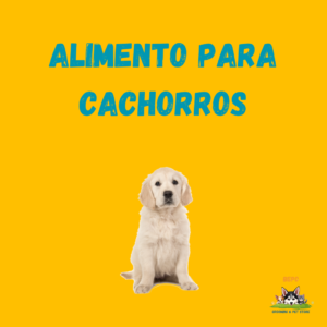 Alimento Cachorros