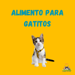 Alimento Gatitos