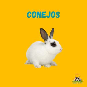 Conejos