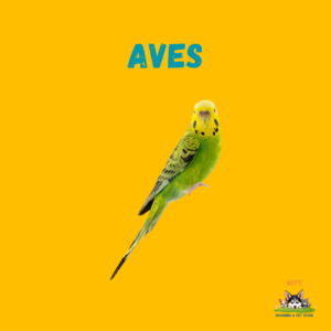 Aves