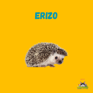 Erizos