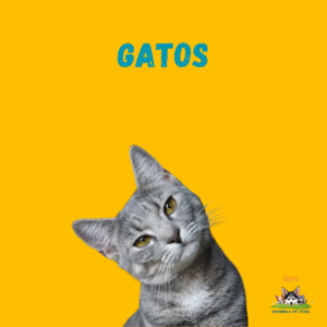 Gatos