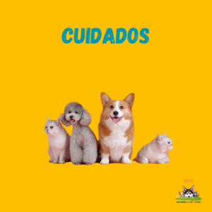 Cuidados