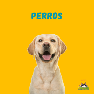 Perros